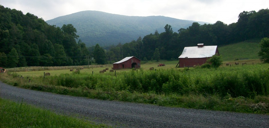 The Homesick Appalachian